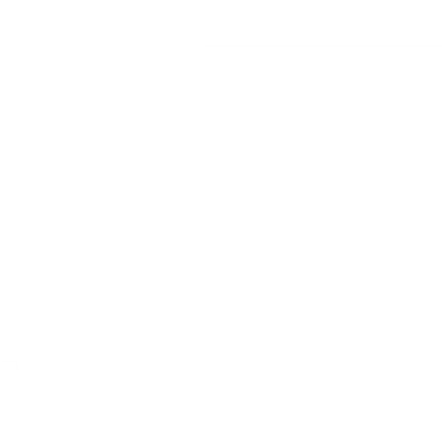 IoT Village Logo